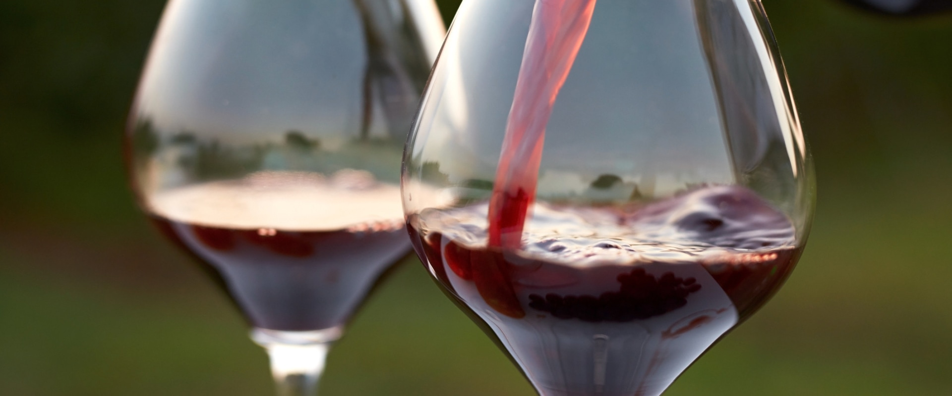 Red Wines From Dry to Sweet: Discover the Best Options for Every Palate