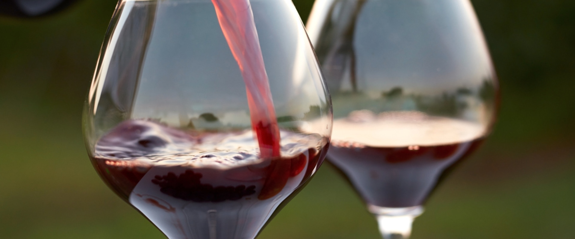 The Health Benefits of Red Wine: An Expert's Perspective