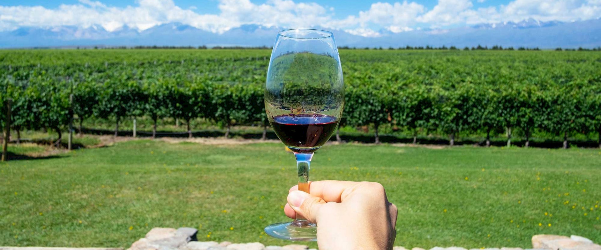 The Top Red Wines in America: A Sommelier's Perspective